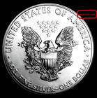 2004  American Silver Eagle  1  Oz   Pure Fine Silver  999 Bullion Coin   Bu-unc