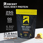 100  Whey Protein Powder - Post Workout Whey Protein Isolate  Zero Artificial Fl