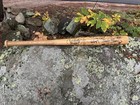 Vtg Old Orchard Maine Guides Autograph Louisville Slugger Team Baseball Bat
