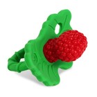 Razberry Silicone Teether Pacifier     Teething Relief For Infants  Food-grade    