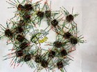 Custom Fuzzy Dice Baits Green Pumpkin Magic With Perch Wigglers   Rattles  Bin 3