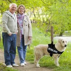 Service Dog Harness emotional Support Pet Vest Harness reflective Breathable And