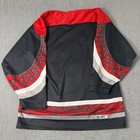 Vintage 1995-96 San Francisco Spiders Hockey Jersey Large Ihl Minor League 90s