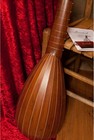 Roosebeck 7-course Travel Lute W  Padded Gig Bag