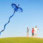 Ice Dragon 54  Huge Kite For Kids And Adults Easy Fly Single Line String