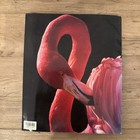 Vintage 1994 San Diego Zoo Souvenir Book Animal Photography