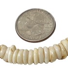 Vtg Hawaiian Surfer 11mm Puka Shell 16  Choker Necklace Barrel Clasp 56 Grams