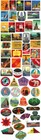 Lot Of 56 Retro Vintage Travel Hotel Stickers Bomb Skateboard Luggage Decal Pack