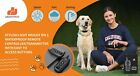 650 Yard Remote Training Shock Collar Waterproof For Small Medium Large Dogs
