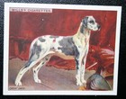 Great Dane   Vintage 1914 Illustrated Dog Card