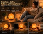 Moon Globe Himalayan Crystal Rock Salt Lamp Ionizer Air Purifier Dimmer Cord