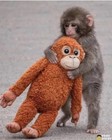 Ikea Djungelskog Orangutan Soft Toy - Brown