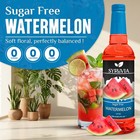 Syruvia Sugar Free Watermelon Syrup 25 4 Fl Oz  For Drinks  Desserts    More