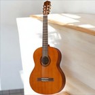 Cordoba Iberia C5 Cedar Nylon String Guitar - Open Box