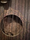 Antique Chord Zither Guitar Mandolin Harp Turn-of-the-century Parlor Instrument