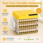 120-288 Egg Incubator Chicken Quail Hatcher Automatic Incubators For Hatching Eg