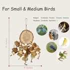 Bird Chew Toys For Parrot Parakeet Cockatiel Budgie Conures Wooden Stand Cage