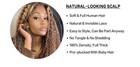 Long Brown Blonde Wavy Lace Front Human Hair Wig Pre-plucked Women 26 Inch