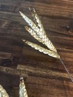 Vintage Mid-century Modern Brass Wheat Wall Sculpture Hollywood Regency Decor