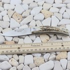 Joker Knives Becada Lockback Folding Knife Stag Bone Made In Spain