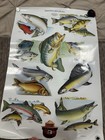 Lot Of 8 1980s Usda Forest Service 20  X 30  Smokey The Bear Posters