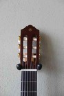Brand New Yamaha Cg172sf Classical Flamenco Guitar With Gig Bag