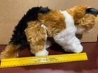 Webkinz Rare Signature Calico Cat Stuffed Plush Ganz Wks1005 Unused Code 