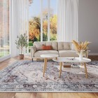 Ultra-thin 4x6 Washable Vintage Area Rug - Living Room Rugs non-slip Washable   