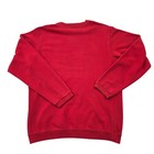 Champion Boys Red Fleece Crewneck Sweatshirt 13 14 Years