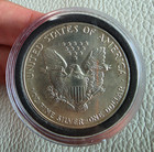 U s  Mint 1991 American Silver Eagle  1 1 Oz  999 Silver Bullion W  Holder