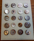 Collector Card W  20 Large Mop Mother Of Pearl Buttons Carved Pierced