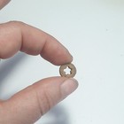 Star Crinoid Head
