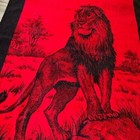 San Marcos Lion Blanket Red With Black Border