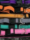 Lot Of 12 Collars Dog Puppy Cat 12 Colors Whelping Id Pet Identification Small