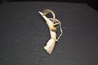 Native American Plains Horse Effigy Dance Stick Amulet Carved Stag Antler