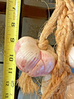 Ceramic Pink Garlic Bulbs 13 Braided Rope Kitchen Wall Vegetable Decor