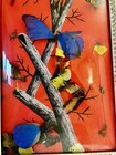 Vintage Antique Framed Taxidermy Butterflies Piece W convex Glass Japan 50 60   s