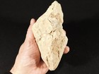 Huge  One Million Year Old  Early Stone Age Acheulean Hand Axe Mali 900gr
