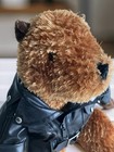 Animaland Plush Teddy Bear Miniature Faux Leather Biker Gear Gift Collector s