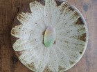 Beautiful Rare Color Sea Glass 1pcs  Surf Tumbled  Weathered  Beach Glass 124