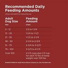 2p Purina Dog Chow Complete Adult Dry Dog Food  High Protein Real Beef