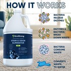 Eco Strong Pet Stain And Odor Remover - Cat 128 Fl Oz  pack Of 1   Clear 