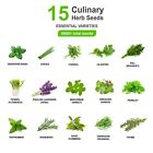 Herb Seeds Variety Pack   15 Essential Culinary Varieties   5600  Heirloom Seeds