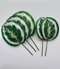 Medallion Plant Floral Picks Florist Supply Set Of 25 Leaves Calathea Roseopicta