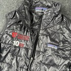 Patagonia Lot Large Xl Capilene Zip Plush Synchilla Hoody Micro Puff Vest