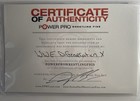 Wwf Wwe Triple H  Shawn Michaels Dx Hand Signed 8x10 Autographed Photo With Coa
