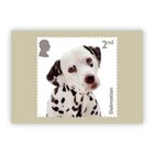 Gb 2024 Dogs Stamp Phq Postcards Set Of 10 Cards  Sealed Issue Date 06 06 2024