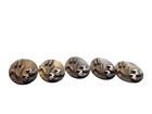 Antique Brass Picture Buttons Ducks Cattails Art Nouveau 15mm Set Of 5