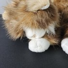 2004 Ty Beanie Babies Classic Jumbles Calico Cat Plush Stuffed Animal Realistic