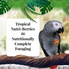 Tropical Fruit Nutri-berries Pet Bird Food  Made With Non-gmo And Human-ingre   